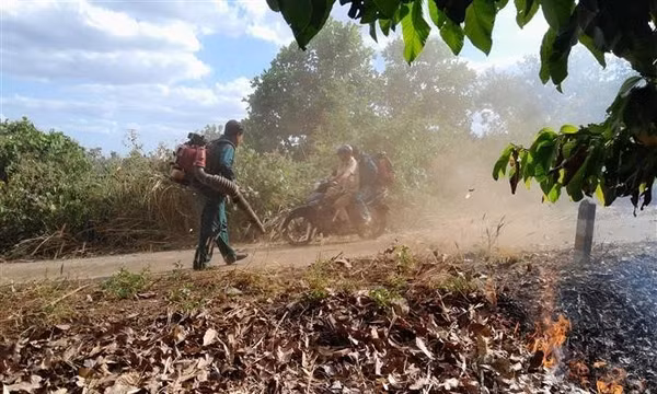Ngăn nguy cơ xâm hại rừng ngay từ gốc