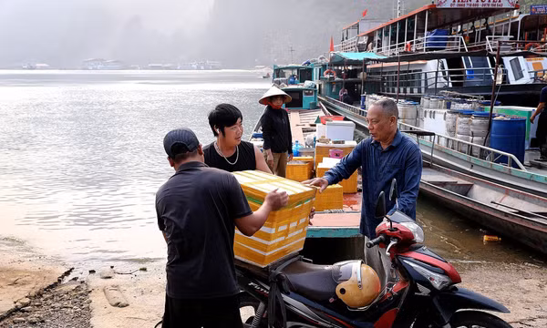Ngư dân lòng hồ sông Đà vào cao điểm thu hoạch thủy sản theo mùa