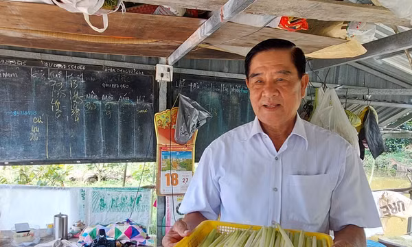 Cà Mau: Xây dựng thương hiệu cây đặc sản giúp nông dân tăng thu nhập