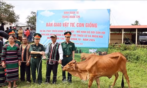 Nối dài những căn nhà mơ ước cho người dân vùng biên Quảng Trực, Lâm Đồng