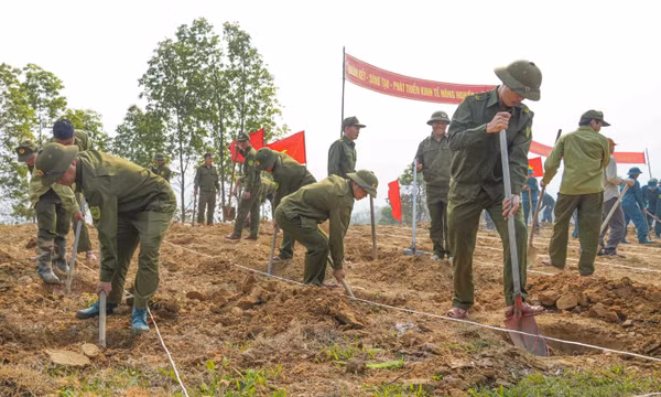 Điện Biên ra quân trồng mới 12.000 ha cây trồng chủ lực