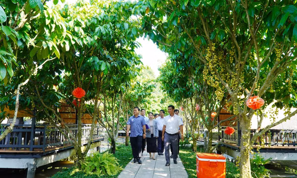 Khởi nghiệp thành công với mô hình 'kinh tế nông nghiệp xanh'