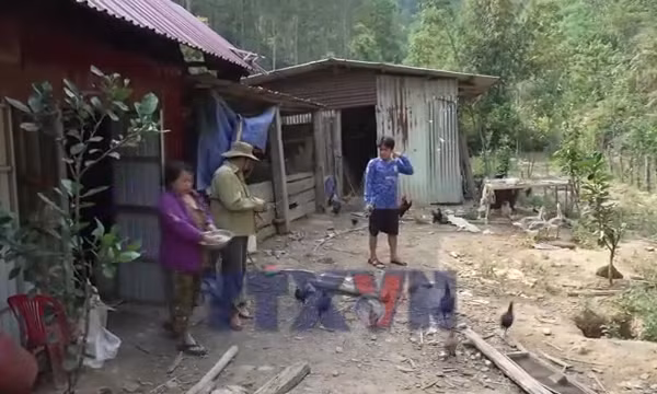 'Đòn bẩy' từ chính sách vay vốn giúp đồng bào Cơ Tu phát triển