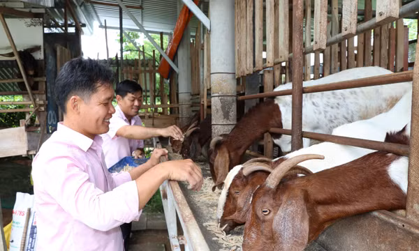 Đưa vốn tới tận cơ sở tiếp sức phát triển sản xuất