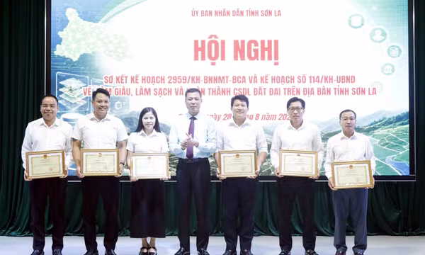 Sơn La huy động lực lượng, tăng tốc làm sạch dữ liệu đất đai trước 30/10