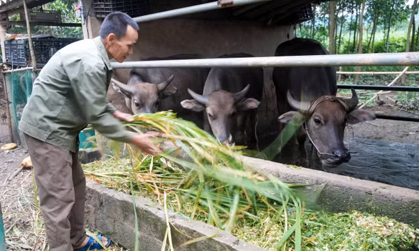 Trao 'cần câu' tạo sinh kế bền vững cho các hộ nghèo ở vùng khó khăn
