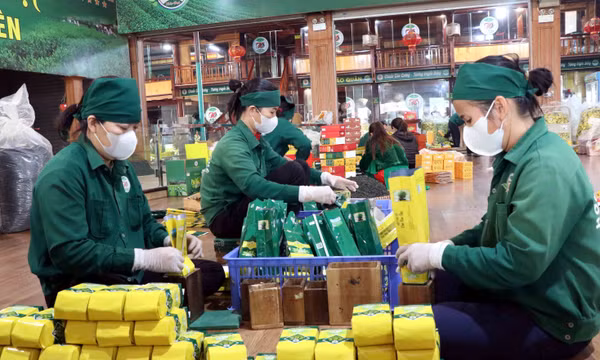Cận Tết, chè Thái Nguyên bán chạy, sức mua tăng 30%