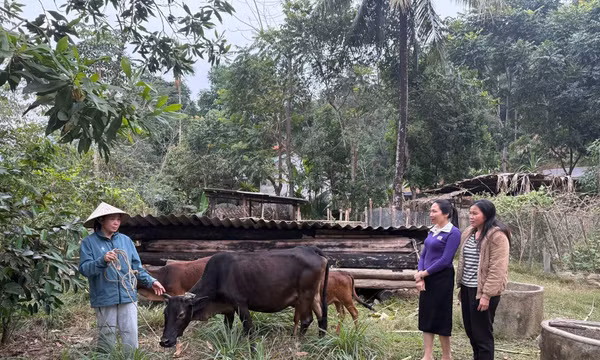Thống nhất nguồn lực phát triển nông thôn mới và vùng dân tộc thiểu số giai đoạn 2026 - 2030