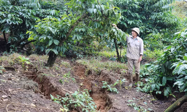 Lâm Đồng: Khoanh vùng, cảnh báo khu vực có nguy cơ sạt lở ở Đông Gia Nghĩa