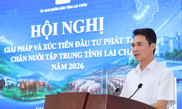Lai Châu: Trao cơ hội bứt phá cho các dự án chăn nuôi xanh, hiện đại