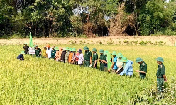 Bền bỉ tạo dựng những mùa no ấm nơi biên viễn