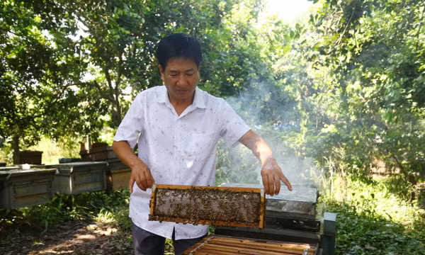 Người nông dân góp phần khẳng định vị thế nông sản Việt Nam trên bản đồ thế giới