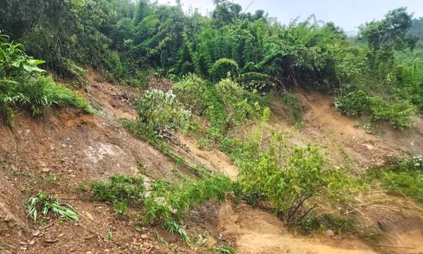 Di dời 38 hộ dân trước nguy cơ sạt lở núi Pù Nứa Bàn