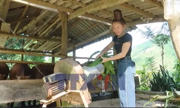 Bản khó khăn ở Sơn La đổi thay mạnh mẽ nhờ Chương trình 1719 
