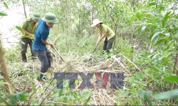 Nghệ An: 55 xã phát cảnh báo cháy rừng cấp cực kỳ nguy hiểm