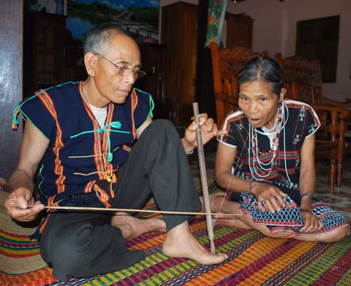Cây đàn tình trên dãy Trường Sơn ảnh 1