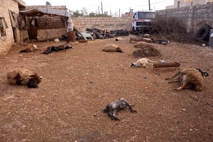 Syria phát hiện thùng chất độc sarin của phe nổi dậy ảnh 1