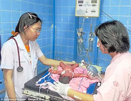 Chú chó cứu mạng bé sơ sinh bị vứt trong túi rác ảnh 3