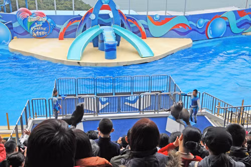 Ocean Park trở thành điểm đến hàng đầu ở Hồng Công ảnh 1