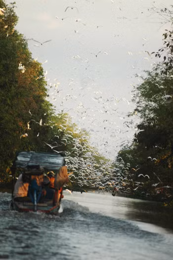 Du lịch ĐBSCL tìm hướng ra phía Bắc ảnh 4