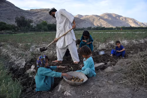 Sự thật sau ngày sinh đặc biệt của hàng nghìn người dân Afghanistan ảnh 1