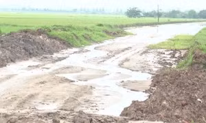 Mưa lớn gây gián đoạn thi công một số công trình trọng điểm