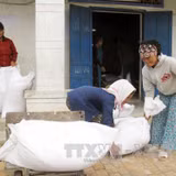 Hỗ trợ hơn 537 tấn gạo cho học sinh vùng khó khăn, biên giới