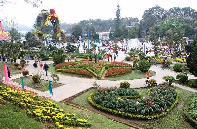 Rực rỡ phố hoa Đà Lạt ảnh 2