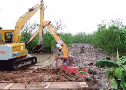 Xử nghiêm vụ phá rừng ngập mặn ở Tiên Lãng ảnh 1