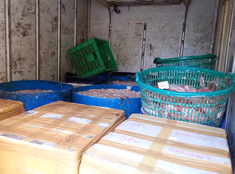 Thu 4 tạ 'nội tạng bẩn' vào Hà Nội ảnh 1