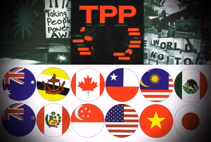 Đàm phán TPP bế tắc về thuế quan ảnh 1