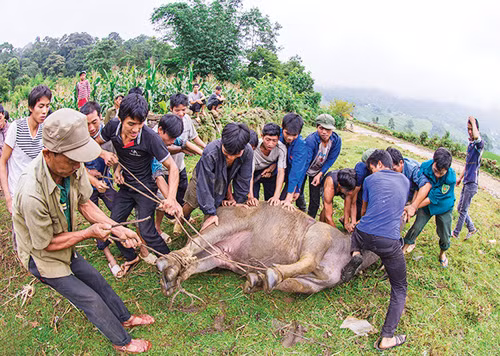Tết Khu Già Già của người Hà Nhì ảnh 3