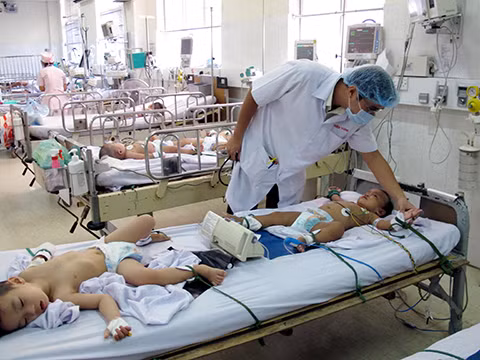 Phòng chống sốt xuất huyết, tay chân miệng trong mùa mưa ảnh 1