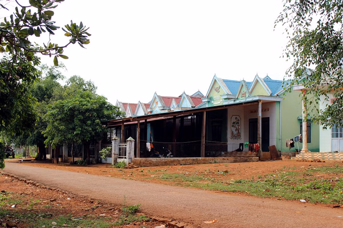 Làng 'triệu phú' ở Gia Lai ảnh 1
