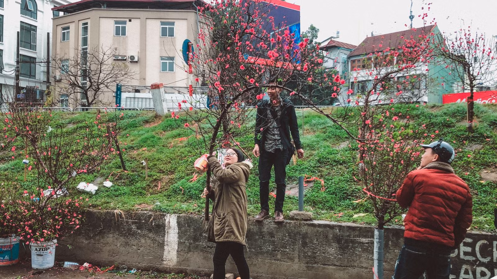Chú thích ảnh
