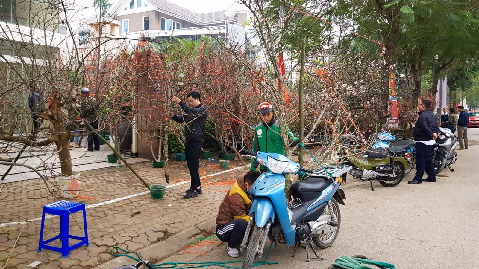 Chú thích ảnh