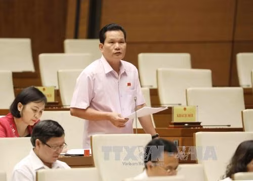 Kiên quyết rút các dự án chưa bảo đảm chất lượng khỏi Chương trình xây dựng luật, pháp lệnh ảnh 3