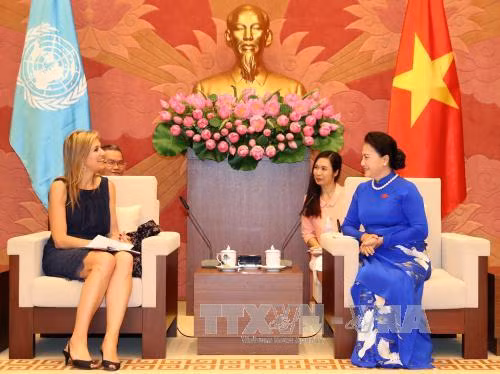 Thúc đẩy triển khai hiệu quả tài chính toàn diện ảnh 1