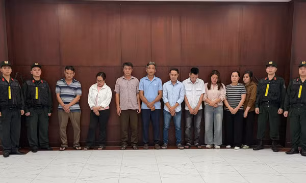 Công an TP Hồ Chí Minh triệt phá đường dây heo sử dụng chất cấm.
