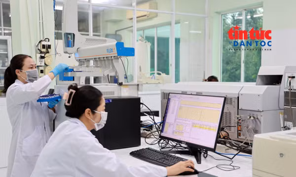 TP Hồ Chí Minh tuyển chuyên gia nông nghiệp công nghệ cao, lương đến 100 triệu đồng/tháng
