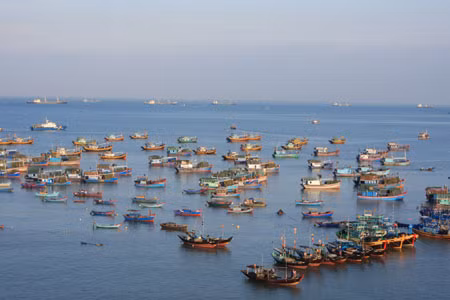 Việt Nam sắp có chương trình dự báo ngư trường ảnh 1