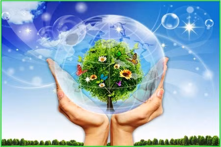 IMF kêu gọi thực hiện ý tưởng Rio+20 để phát triển bền vững ảnh 1