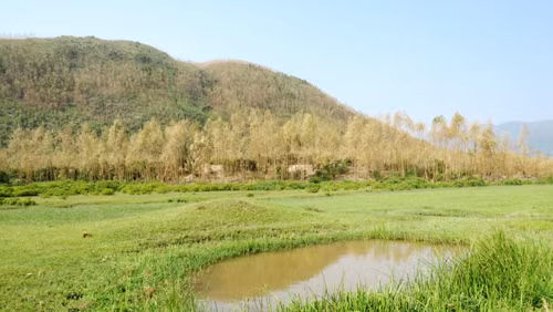 Nơi Đại tướng Võ Nguyên Giáp an nghỉ rất đẹp ảnh 6