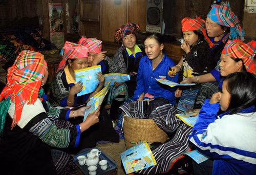 Hệ lụy từ hôn nhân cận huyết thống ảnh 1