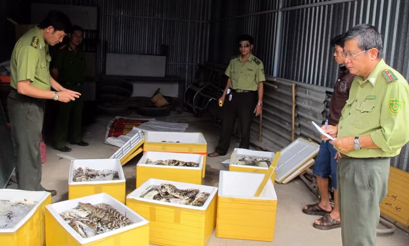 Quy định về quản lý phương tiện vi phạm hành chính ảnh 1