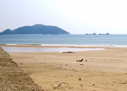 Nơi Đại tướng Võ Nguyên Giáp an nghỉ rất đẹp ảnh 2