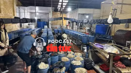 Tin nóng trong nước nghe nhanh sáng 24/1