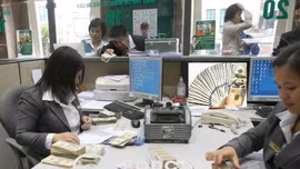 Dự báo 2024, kiều hối đổ về TP Hồ Chí Minh tăng thêm 20%
