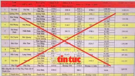 Tin nóng trong nước nghe nhanh sáng 29/11