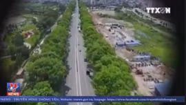 Cân nhắc chặt hạ cây xanh giữa mùa hè nóng nực